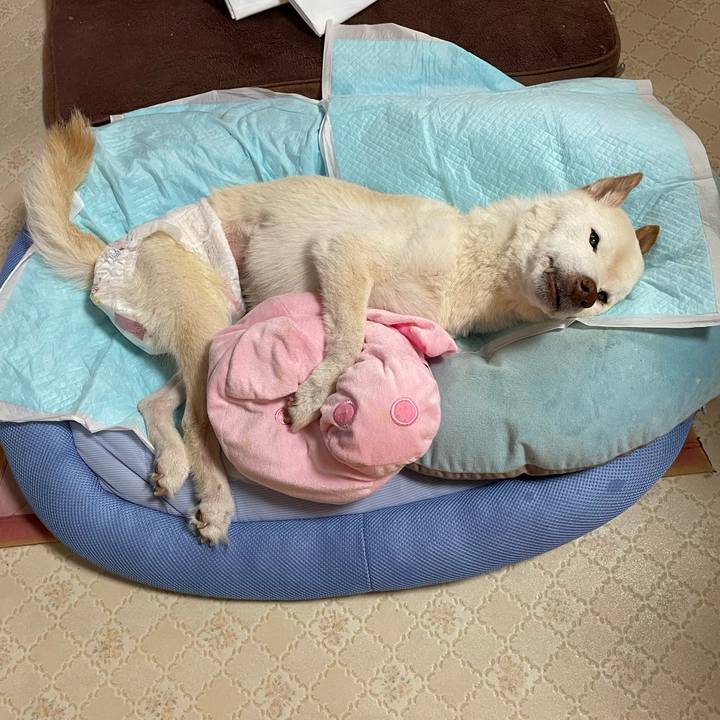 7216c4f0 4b9d 4c67 85d2 71c29d3b0d11 1677549837137