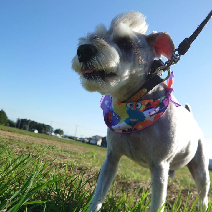 72170d1e 6640 4b8b af7c 37fbf058653e 1760509024414