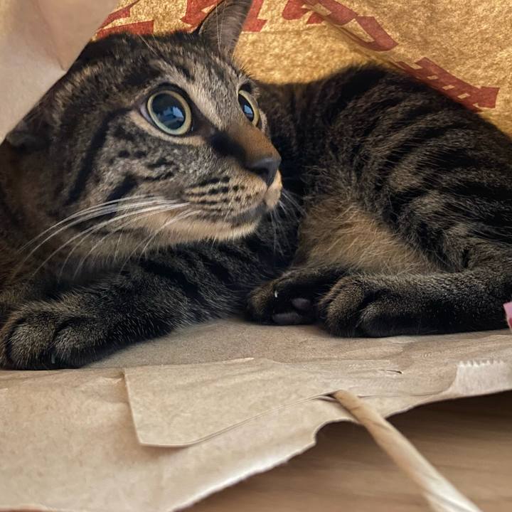 72173c66 5e1e 425f 84aa 6c91196f76be 1629632102374