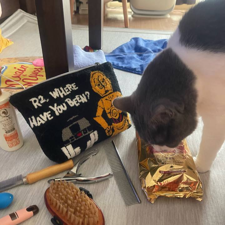 7217447a 8c04 4072 ac57 eda3a02be3f5 1757814821512