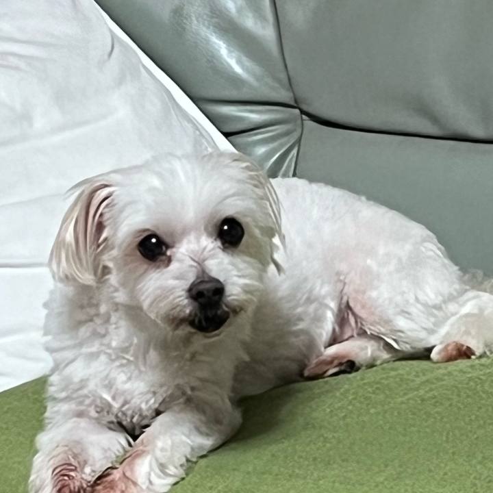 7217585b 42da 499d 9ee9 b920722b940a 1725861153938