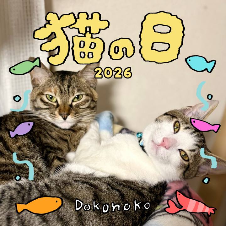 72179373 a121 4d65 a42b c6e94484554b 1771811323702