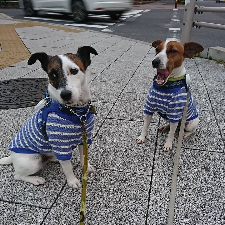 72179a47 f3cf 45f3 93bd a1e0025e4a4f 1574027504982