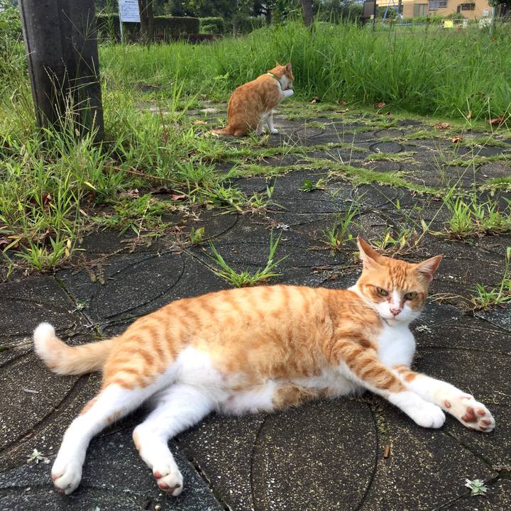 7217a7e6 a370 49bf 9563 ff4cc1039041 1535617362427