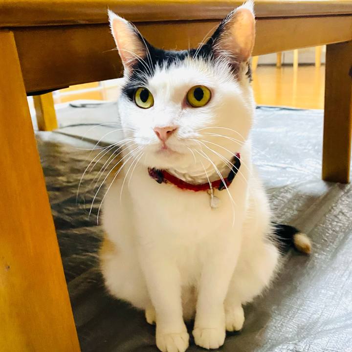 7217b3b4 b54c 4b68 b49b ceb6ba78a84b 1691708231069