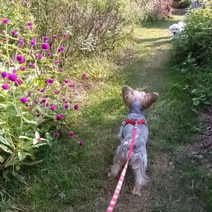 7217cb1b 4e95 4920 9e57 3026ec680abe 1762169846117