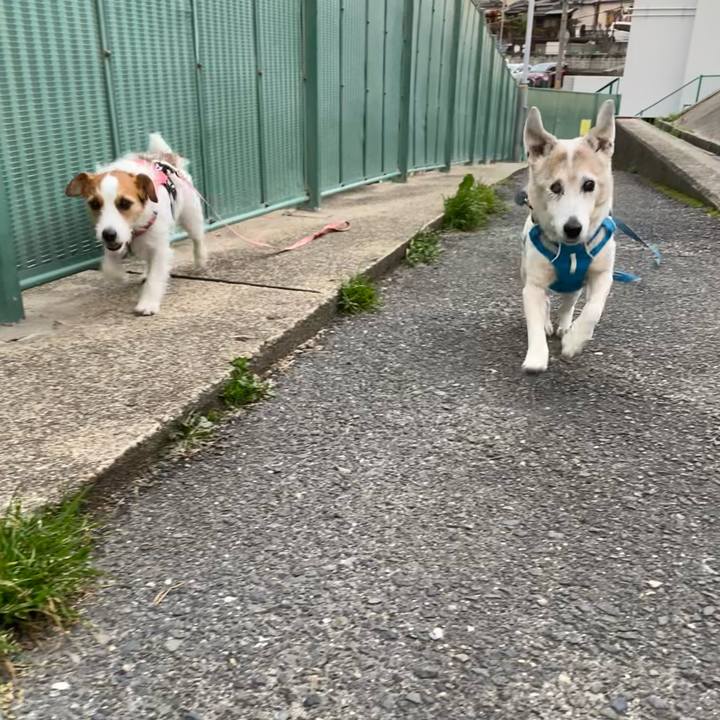 7217e6c4 5fd5 4bdc b134 7d565b88c07b 1711199860654