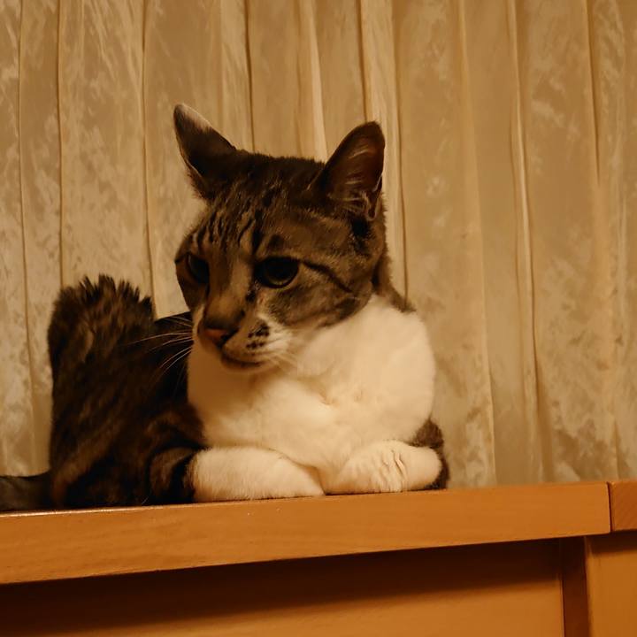 721800a9 47cb 4ad0 82ed a8fe41f806ef 1713608811742