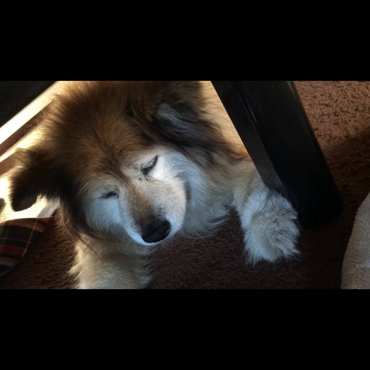 72183a15 db0f 400e be73 3e7930c9238d 1646178314030