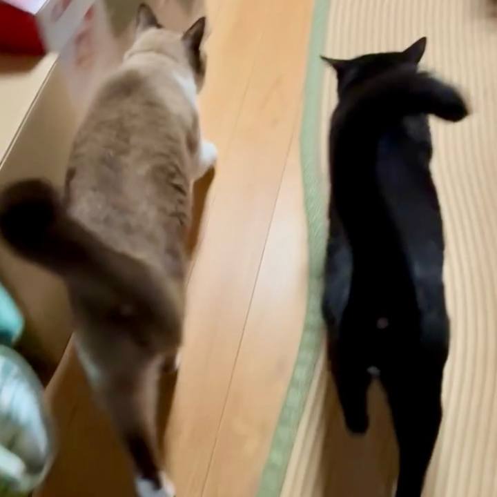 72184de3 6b29 4c1b b02b 14f7bd9ad294 1760437152020