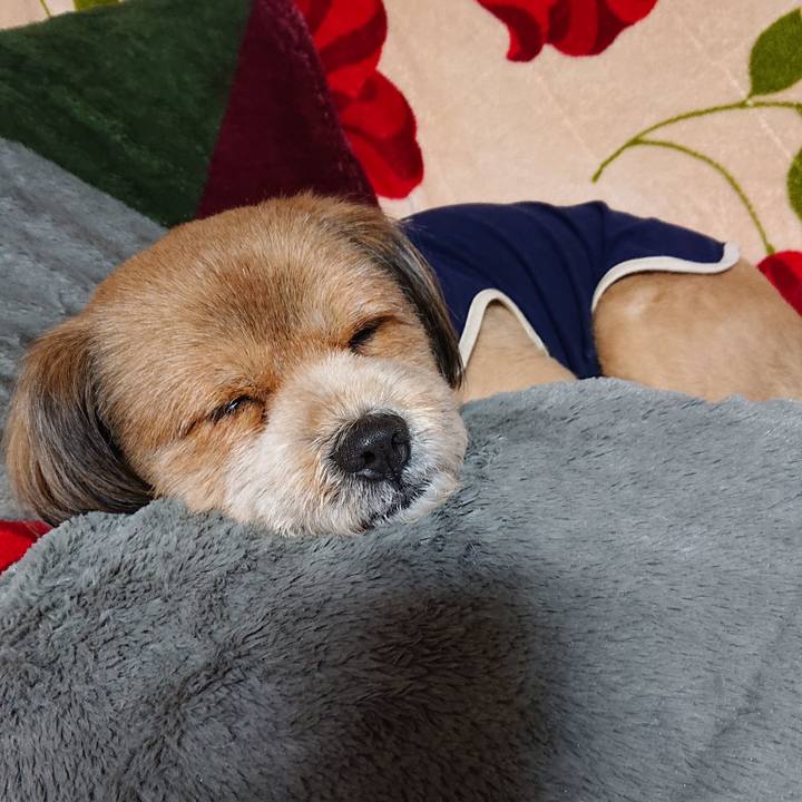 7218634d 068b 452d b56f 5025f26b1aa7 1550749163468