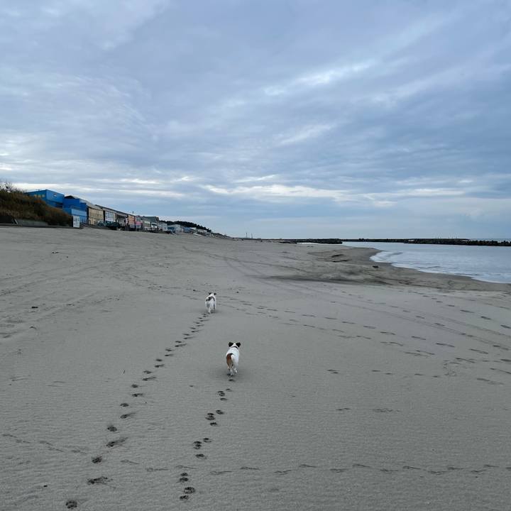 7218ad50 eb88 4449 9610 c958f16ba0f9 1637194339502