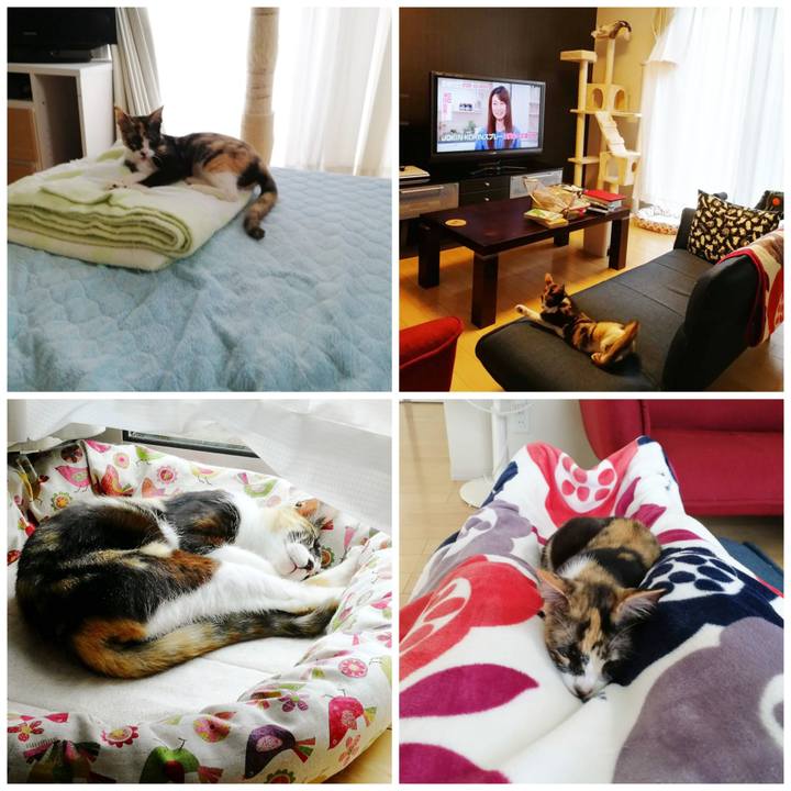 7218d112 0a05 4226 a0bf 9a6b9e4b3a69 1596983935719