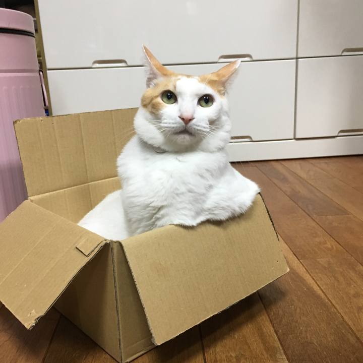 7218d538 839a 4205 bbc3 19a6d2c11eee 1511006498901