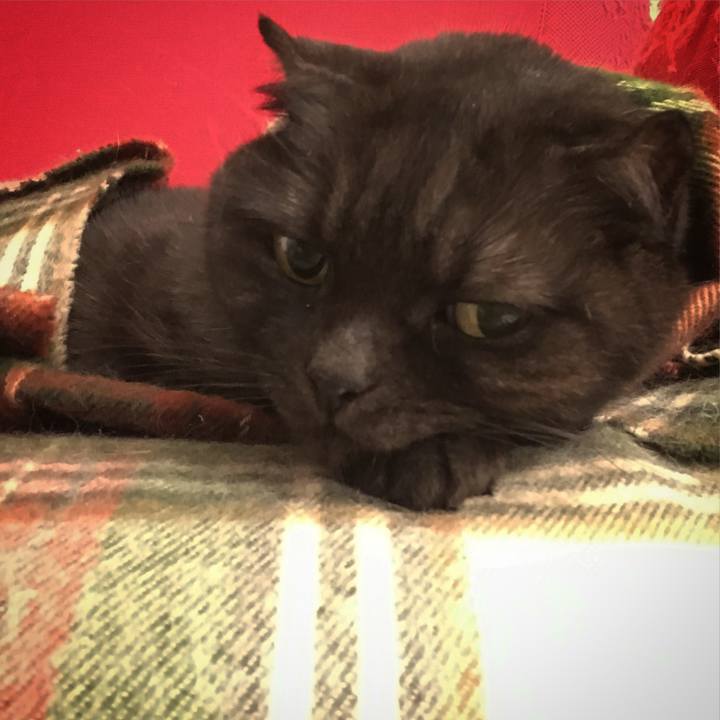 72192a51 ec09 4c44 8b20 98e02db8e521 1542648440529