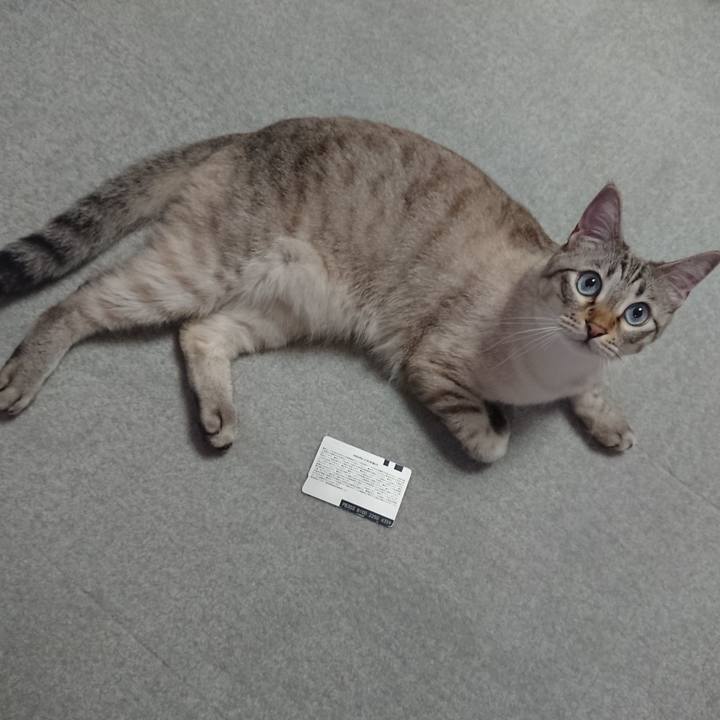 72194ff4 51d0 45b5 a1bb 19342c869314 1526470466044