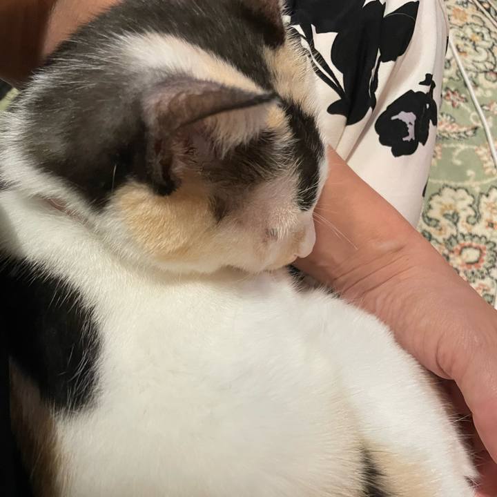 72199397 da31 4a11 94e4 c0e05164e409 1758272421954