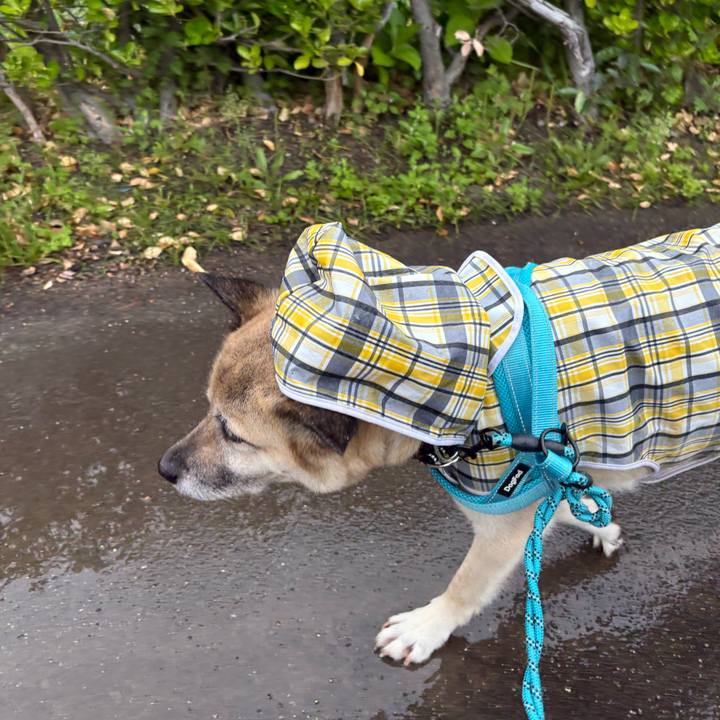 7219a51b d992 487d 84b9 985cb39af2ac 1747398013588