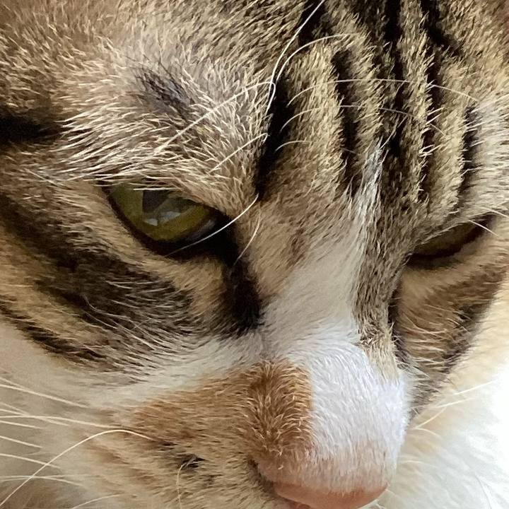 721a172b 2a3a 4fc4 b380 ec9f811a7ee1 1671230346302