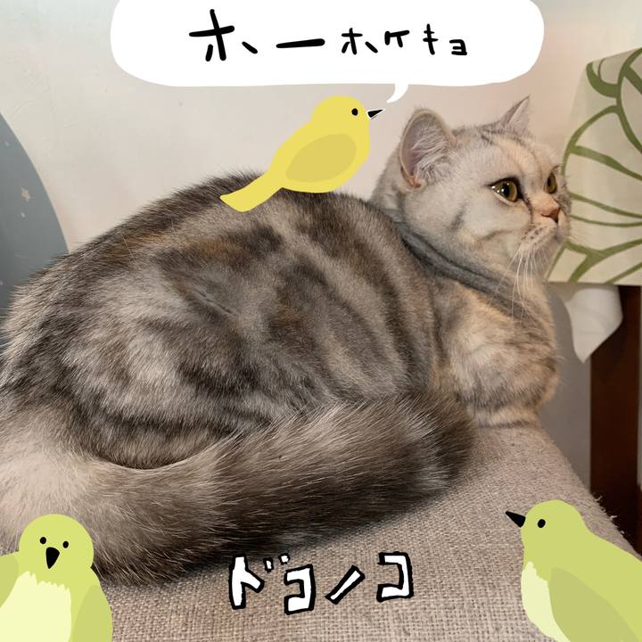 721abcd4 3899 4600 90a5 45c8b22f7a97 1711578269911