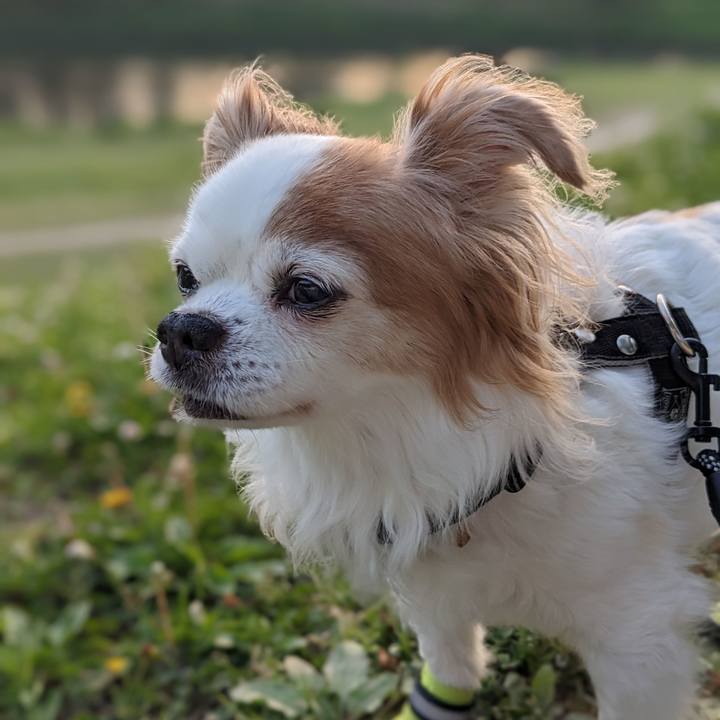 721ac515 c6de 4426 8c89 8923d656e107 1685267005539