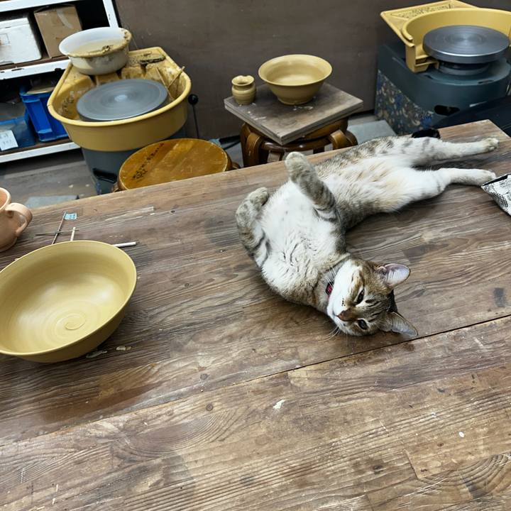 721b200a 2698 4fa9 8268 10eed30b07a3 1770030687021