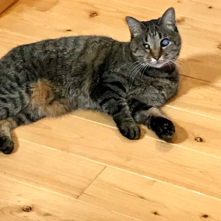 721b47ae d510 458f b9ed 64268d38c584 1555675077642