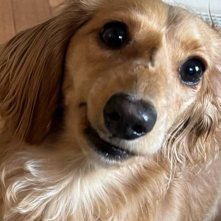 721b8663 433a 498a 914f 1c5ecc2dbc71 1706929612170