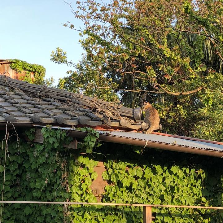 721b92cc 5d1f 45fc bbe4 8925688ea53e 1523738988386