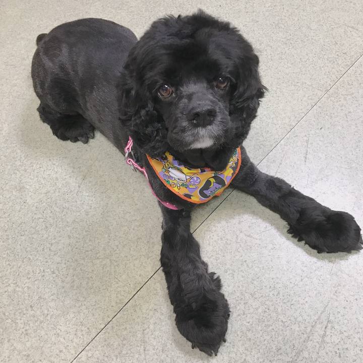 721bb267 2247 4e9c 8fbd 2b180ddf46d4 1538816643945