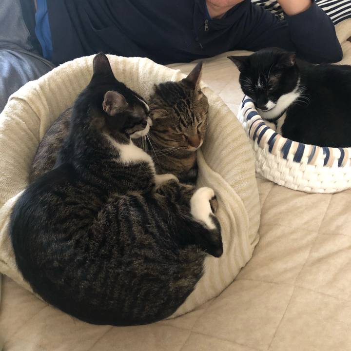 721bca7b cc67 40db bec9 dacec46748ff 1572194614946