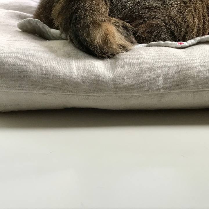 721c4fe0 c36f 4168 868e 6766115d77f4 1563588132338