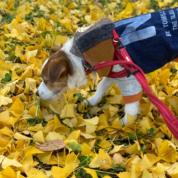 721c56d1 4d65 4524 802c 38580e96c803 1637642685799