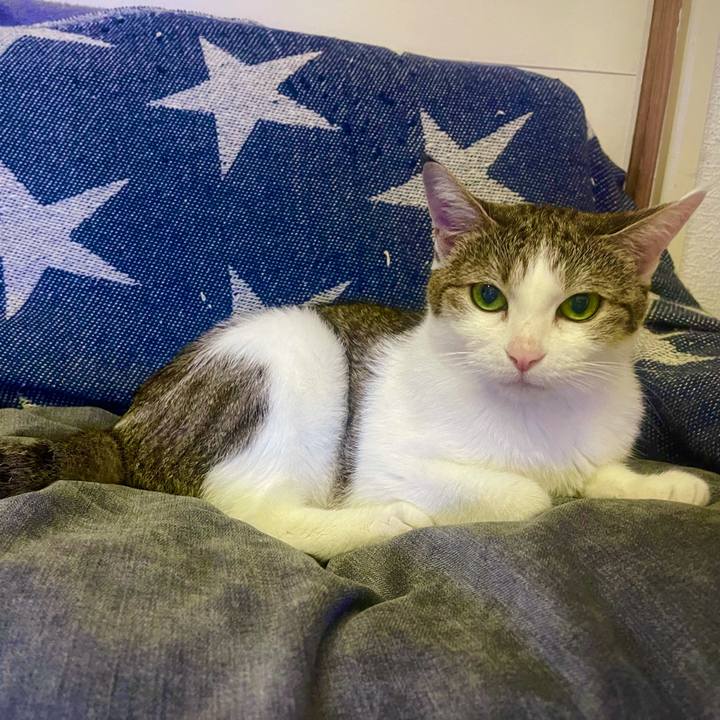 721c5ef0 f7e4 4e65 8591 89f2177d2bdc 1627504151852