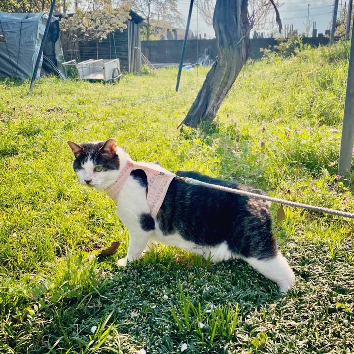 721c678f eeda 4a15 aede 4a3526d050b0 1591270050372