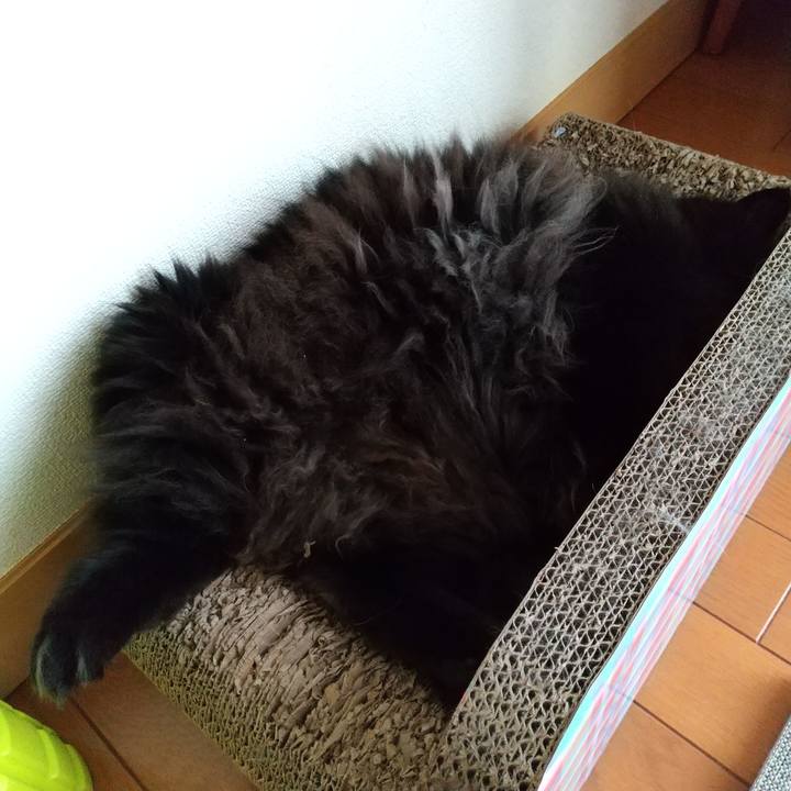 721c7c91 11ce 430a ba1e e2b87545a32b 1595487721574