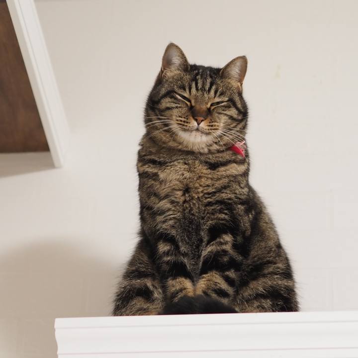 721ca0e0 62df 4872 ba19 6a958b6f92c6 1612524399281