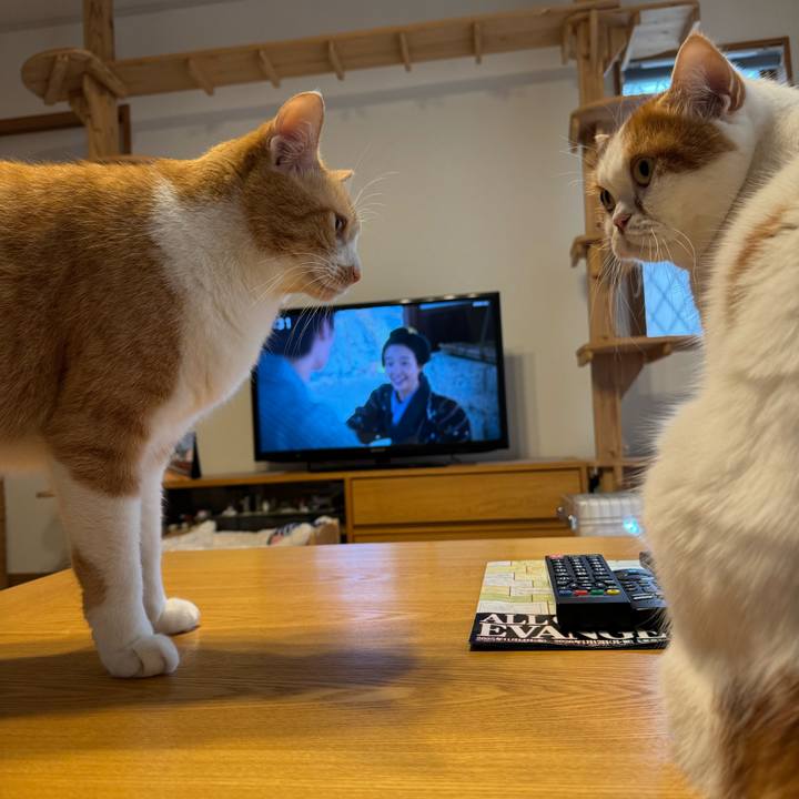 721caaa2 ed7a 41f5 aa28 0fc07a9b8d5a 1771382439494