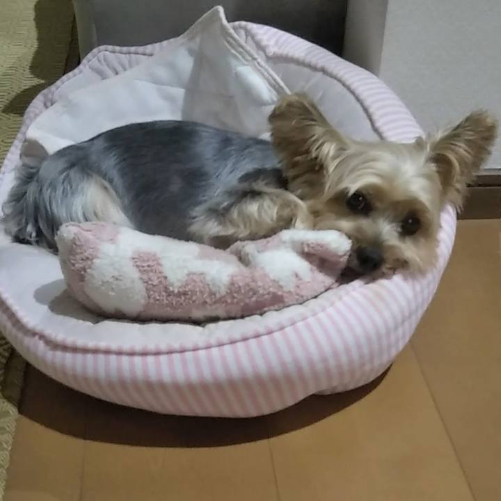 721ccc46 6d5d 4bed a574 f26af8aea625 1694354814839