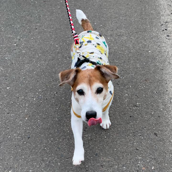 721d0f96 9989 45a1 8981 8186abc12904 1593263444137