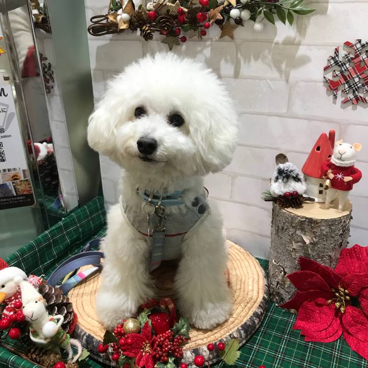 721d1549 cd7c 4ff3 994a c971293b31e8 1543913980679