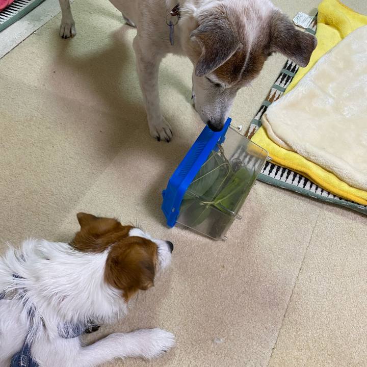 721d3edf 7ace 49c2 9725 76ee17476883 1626645060099