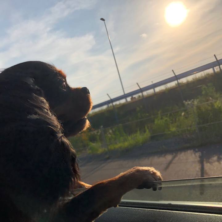 721d669b c1f6 4f70 a163 43b5d98e1f02 1533310932331