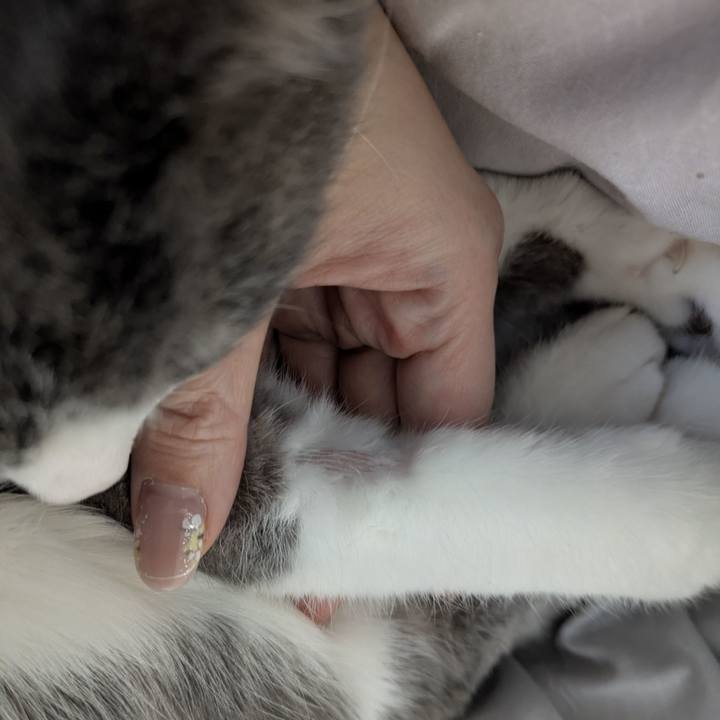 721da770 0178 4a3d 8c98 fdb250c27242 1771381268571