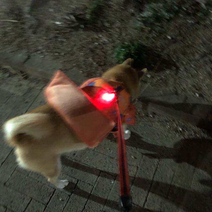 721db82e 6ac8 4ce3 bf4c 7719a37143e4 1581386491430