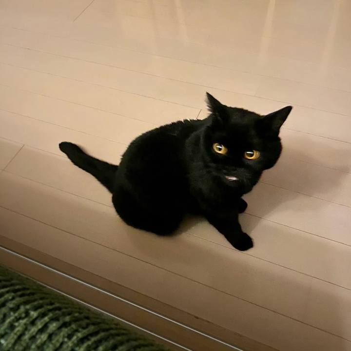 721db965 27b1 4ba5 842e 801e34bc6282 1695820600949