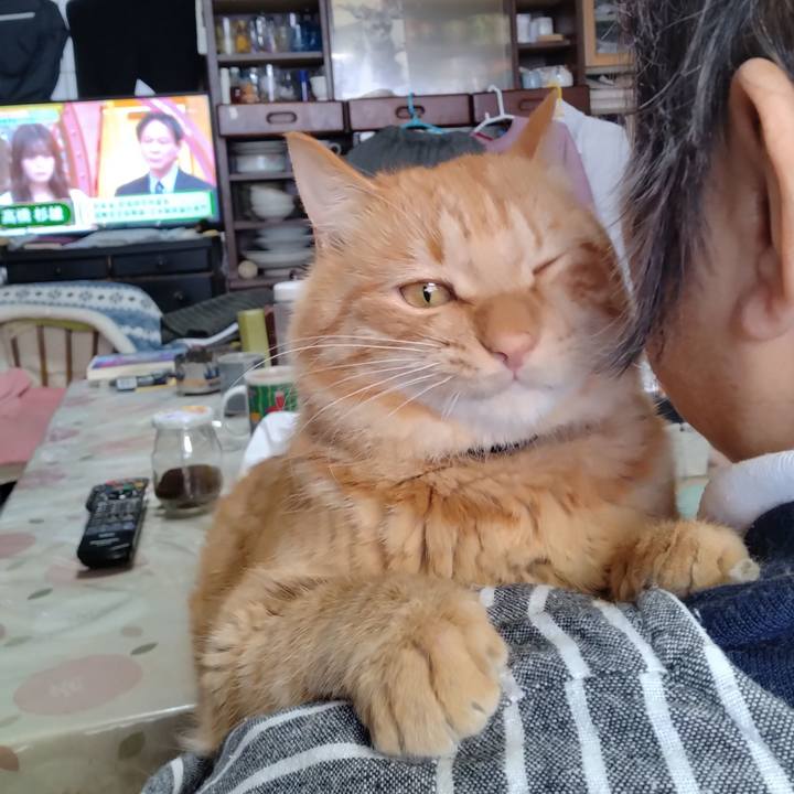 721dcda3 f48d 4990 9c8d cb92d9263fde 1671326639742