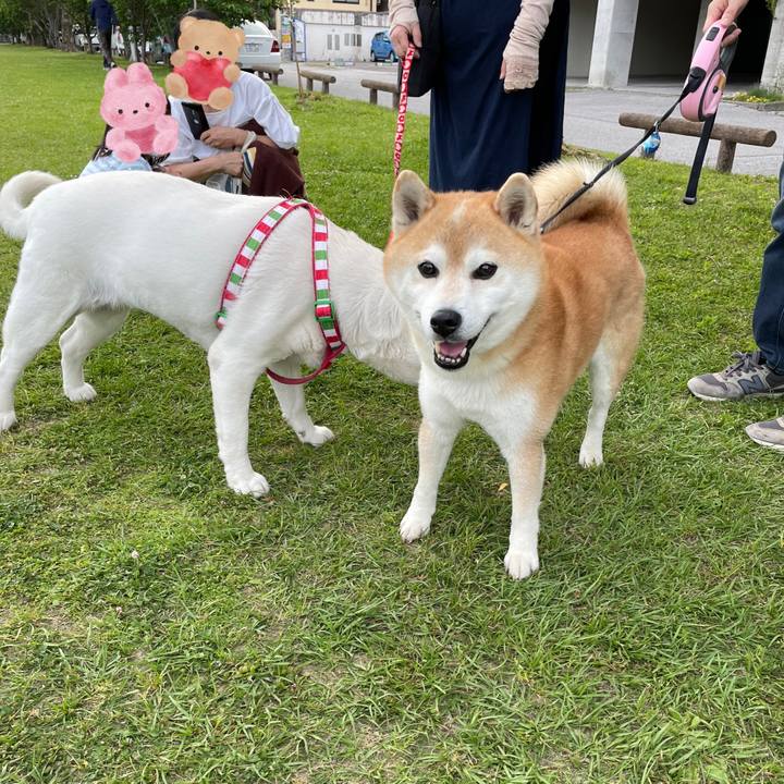 721de0ab 7d88 4547 bfd9 2122647b1496 1651838052961