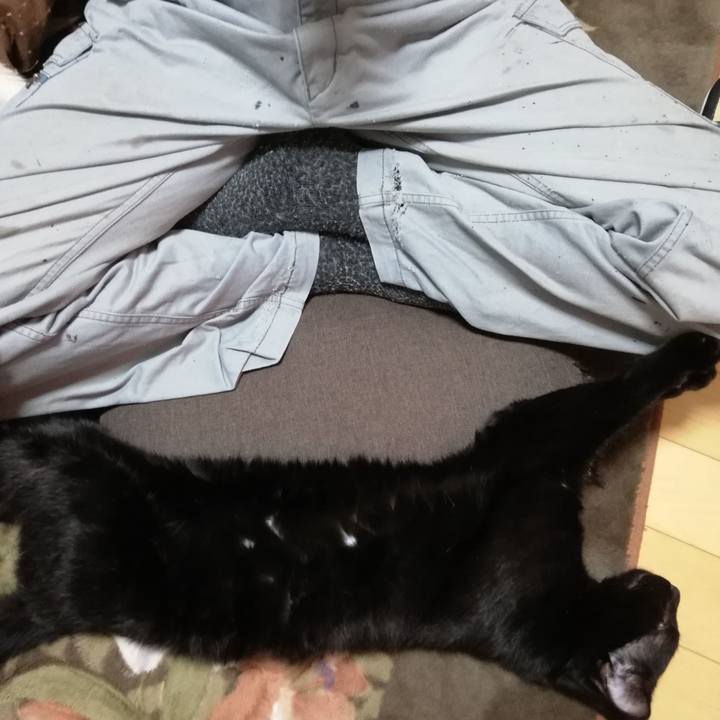 721e02ec daf1 4896 bfc2 41e3775e151c 1605758025427