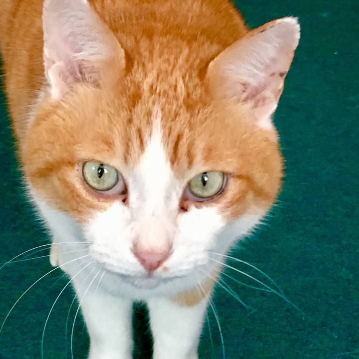 721e2139 85fe 4a88 88f4 69e29e60d515 1554759487866